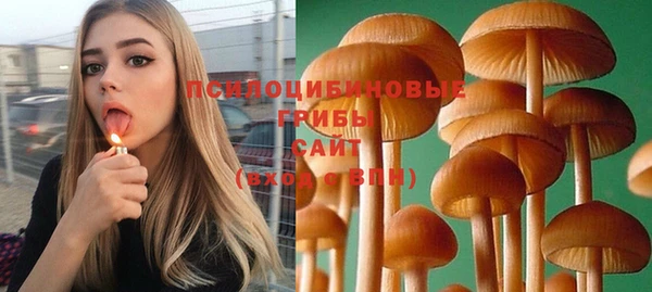 шишки Волоколамск